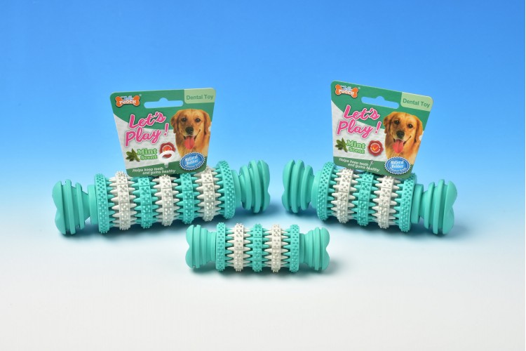 Rubber Dental Bone